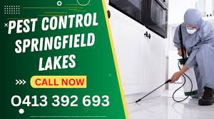 best pest control springfield lakes qld