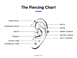Daith Piercing 101 Everything You Need To Know