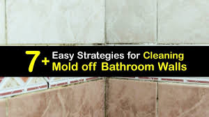 Mold Off Bathroom Walls