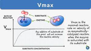 vmax definition and exles