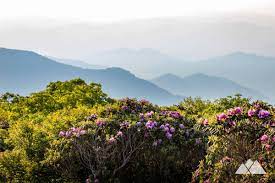 craggy gardens on the blue ridge parkway