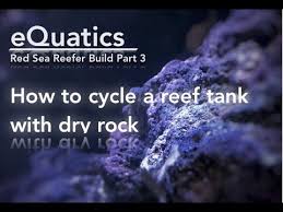 How To Cycle A Reef Tank With Dry Rock Red Sea Reefer Build Part 3