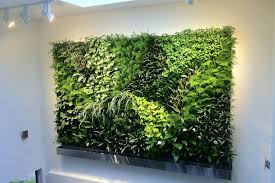 Living Wall Plantscapes Stock Google