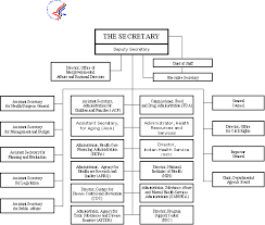 Hhs Strategic Goals And Objectives Fy 2001 Aspe