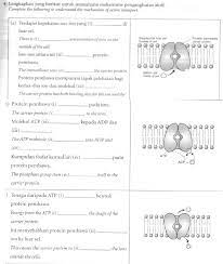 Fonts biologi tingkatan 4 bab 1 : Latihan Biologi Tingkatan 4 Bab 3 Docx Document