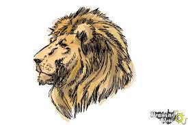 how to draw a lion head drawingnow