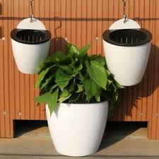 Wall Flower Pot Water Absorbing Balcony