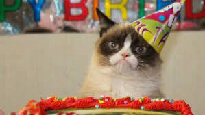 Кот в колпаке с днем рождения
