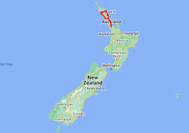 7 day nz boutique northland self drive tour