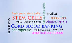 dna gyaan stem cell banking is it
