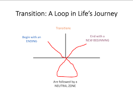 Transition Dynamics By Ann Fleming M Ed