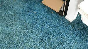 nylon carpet pros and cons here s what