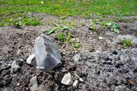dealing with rocky soil how to get