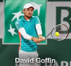 Official tennis player profile of david goffin on the atp tour. David Goffin Player Profile