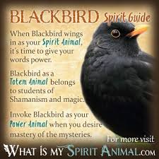 bird symbolism meaning spirit