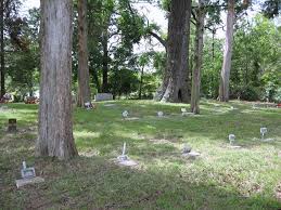 Johnson Cemetery In Cky Find A