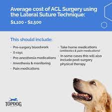 lateral suture acl topdog health