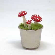 We deliver door to door all over sa. Fairy Garden Mushrooms With Red Caps Miniature 1 12 Creative Me
