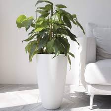 40 best pots and planters on