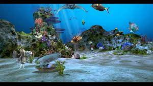 amazingly beautiful 3d aquarium live