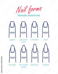 nail shapes female manicure diffe