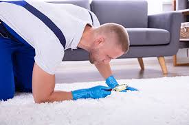 usa carpet cleaning in san francisco