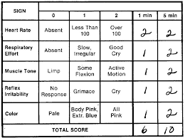 Invention Of The Apgar Scale Tina Stranges Blog