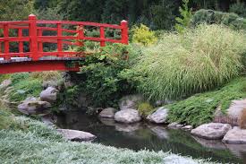 Japanese Garden Stream With
