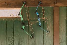 best types of bows for hunting ambush