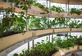 Space10 Plants Inhabitable Growroom In Copenhagen