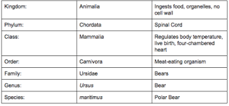 Classification Of Eukaryotes Sutori