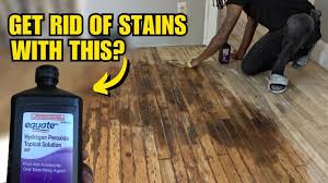 remove pet urine from hardwood floors