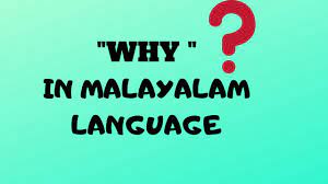 How is my malayalam can be translated to malayalam as ente malayalam enganeyund(എന buffalo in malayalam is 'kaalla' buffalo in malayalam is 'pothu'. Why In Malayalam Fluent In Malayalam Youtube