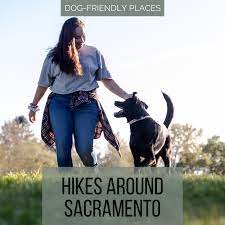 dog friendly hikes around sacramento