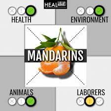 mandarin orange benefits side effects