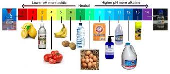The ph scale goes from 0 to 14. Bethke Beth R Acids Bases Tri B