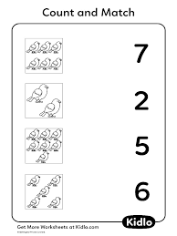 count and match birds worksheet 07