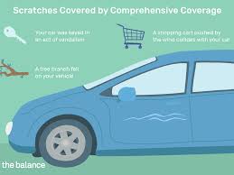 Which types of coverage appear in a typical car insurance policy? What To Do When Someone Scratches Your Car