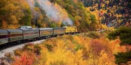 Leaf Peepers Autumn Train Ride 24