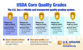 Usda Corn Quality Grades U S Grains Council