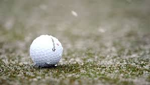 6 Best Golf Balls For Cold Weather Golf Discount Blog