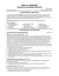 Plumber CV Example   Template   forums learnist org MyPerfectCV co uk