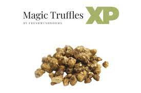 Simply place your order and you will be redirected to our provider's payment page. Buy Magic Mushrooms Fresh Magic Truffles Strongest Mushroom Grow Kit