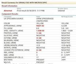 Image Result For Urinalysis Results In 2019 Normal Values
