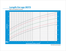 Sample Boys Growth Chart 5 Documents In Pdf