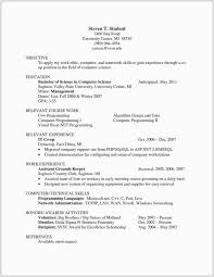 Sample Resume For Mid Level Position Iceird Letter Template