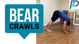 bear crawl straight arms straight