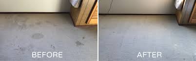 carpet cleaning and restoration