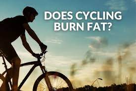 can cycling reduce thigh and belly fat