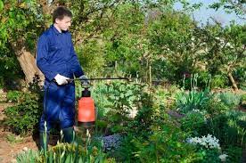 When Hiring Professional Gardening Services